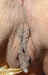 12084481.jpg (78441 bytes)