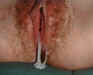creampie zDSCF0364.jpg (26335 bytes)