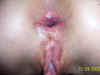 20031104-58436-6.jpg (78289 bytes)