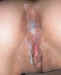 08ddn.jpg (20841 bytes)