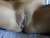 Creampie008.jpg (21551 bytes)