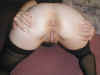 Creampie009.jpg (29347 bytes)