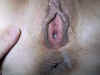 101-0123_IMG_resize.jpg (69015 bytes)