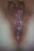CREAMY1.jpg (28133 bytes)