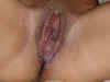 creampie.jpg (53478 bytes)
