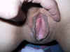 101-0169_IMG.jpg (80566 bytes)