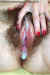 crmpiehairy01.jpg (25507 bytes)