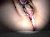 vidguy_20creampie-pc-e.jpg (19985 bytes)