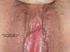 DSC01288e.JPG (63839 bytes)