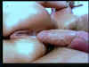 sperm10.jpg (60618 bytes)