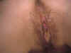 00_00005.JPG (71467 bytes)