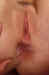 66x123030.jpg (54867 bytes)