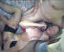 6guys-005.jpg (33672 bytes)