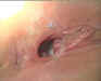 6guys-027.jpg (27712 bytes)