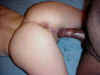 SheLovesAllColorsOfCock.jpg (39076 bytes)