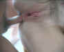 analpie-003.jpg (23141 bytes)