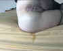 analpie-020.jpg (25553 bytes)