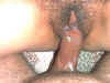 AMATEUR_wife_cum_in_pussy_creampie_cream_pie_with_cock_2.jpg (15219 bytes)
