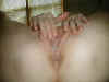 20040127-71516-5.jpg (35482 bytes)