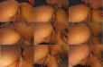 eating-creampie-5.jpg (58739 bytes)
