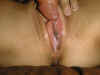 019_Maria_028.jpg (21365 bytes)