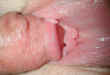 kim_cum_pics01.jpg (75798 bytes)