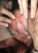 20030320-22128-8.jpg (30890 bytes)