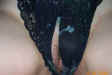 clpxxx2_048.jpg (80365 bytes)