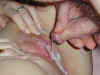CG_cum03.jpg (20835 bytes)