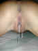 hr_Dscn01545.jpg (31570 bytes)
