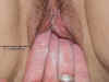 DSC01346e.JPG (71927 bytes)