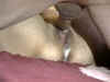 VidGuy08054.jpg (31497 bytes)