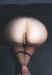 cum0009.jpg (25335 bytes)