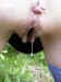 cum06.jpg (31000 bytes)
