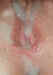 kim_cum_pics04.jpg (60496 bytes)