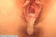 devinsdesire_creampie011.jpg (19124 bytes)