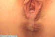 devinsdesire_creampie013.jpg (18224 bytes)