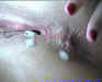 pussy2ass-019.jpg (44007 bytes)