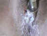 20040305-77646-3.jpg (31284 bytes)