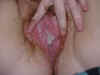 michelle_creampie_11.jpg (29588 bytes)