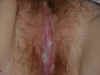 michelle_creampie_18.jpg (32764 bytes)