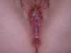 Creampie.jpg (79580 bytes)