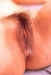 closeuppiie.jpg (24600 bytes)