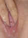 kath015.jpg (25749 bytes)
