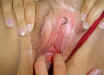 9900DSC00627-med.jpg (71364 bytes)