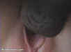 008p_09.jpg (8934 bytes)