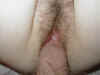 Creampie02.jpg (18327 bytes)