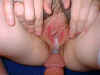 creampie52.jpg (21059 bytes)