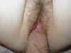 creampie02.jpg (43385 bytes)