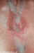 creampie_002.jpg (61869 bytes)